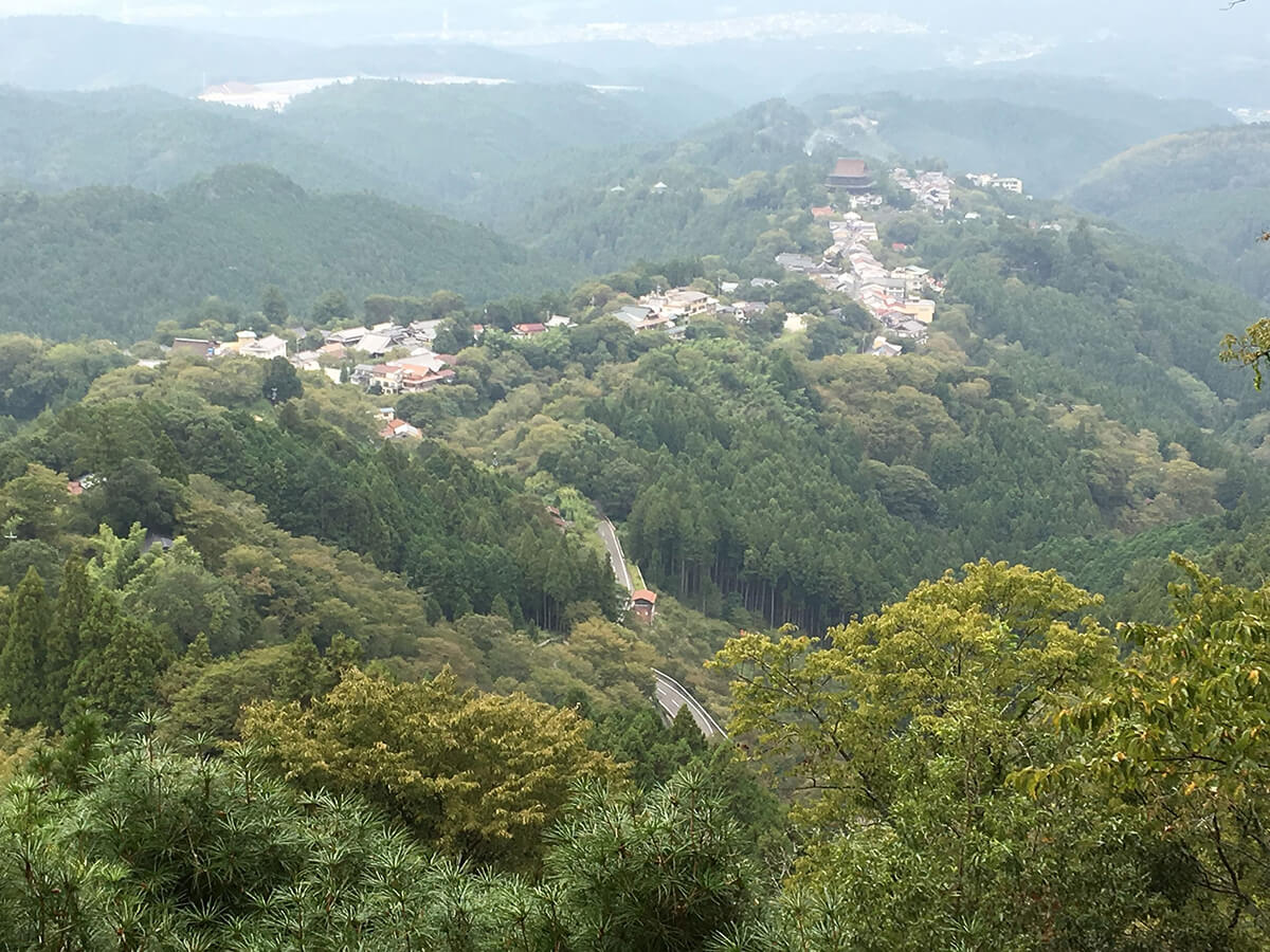 吉野2