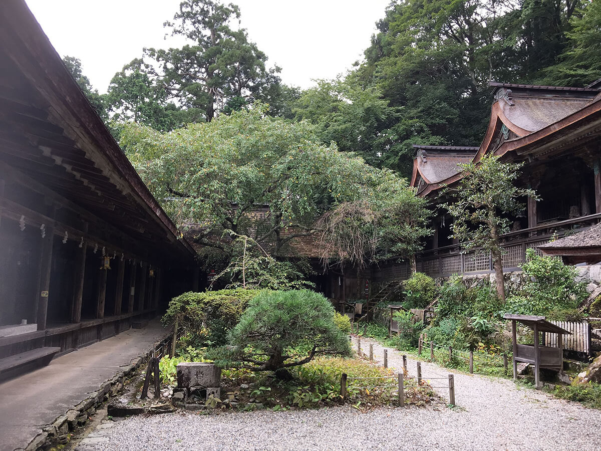 吉野３