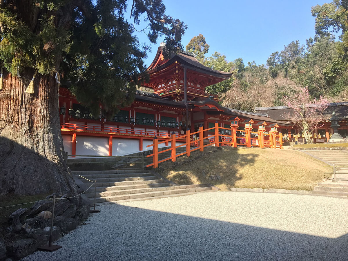 奈良市8